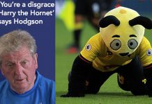 Harry the Hornet you're a disgrace says Roy Hodgson